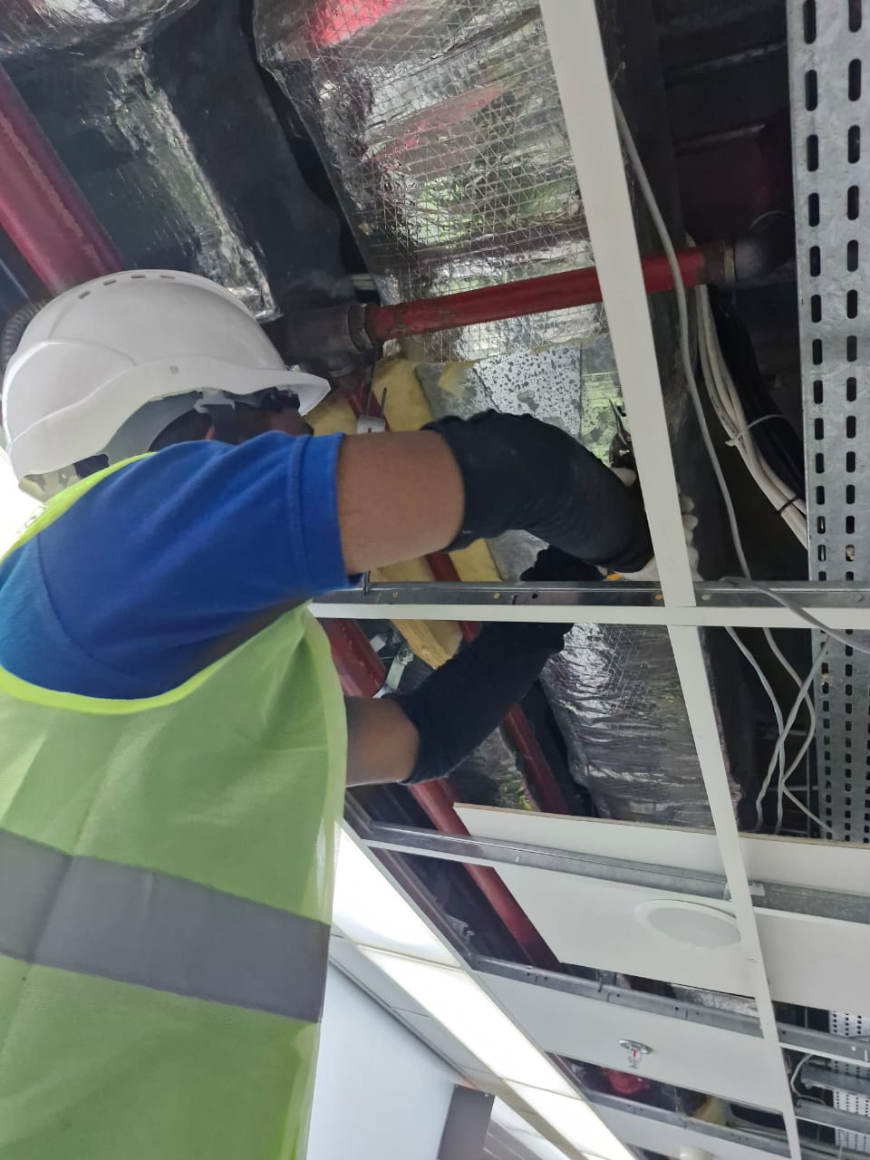 AC Robotics Dust (5)