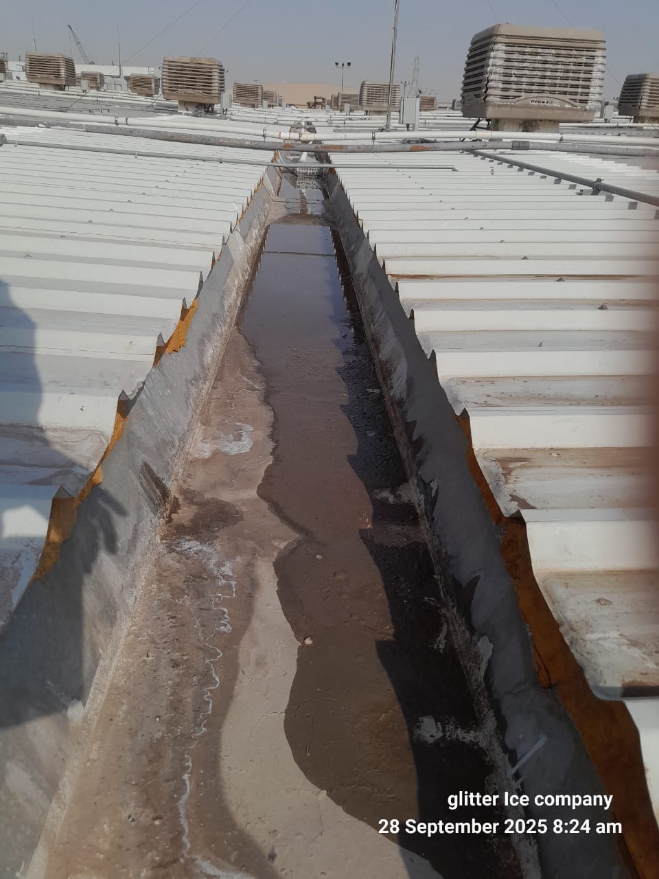 Gutter Cleaning Before 1