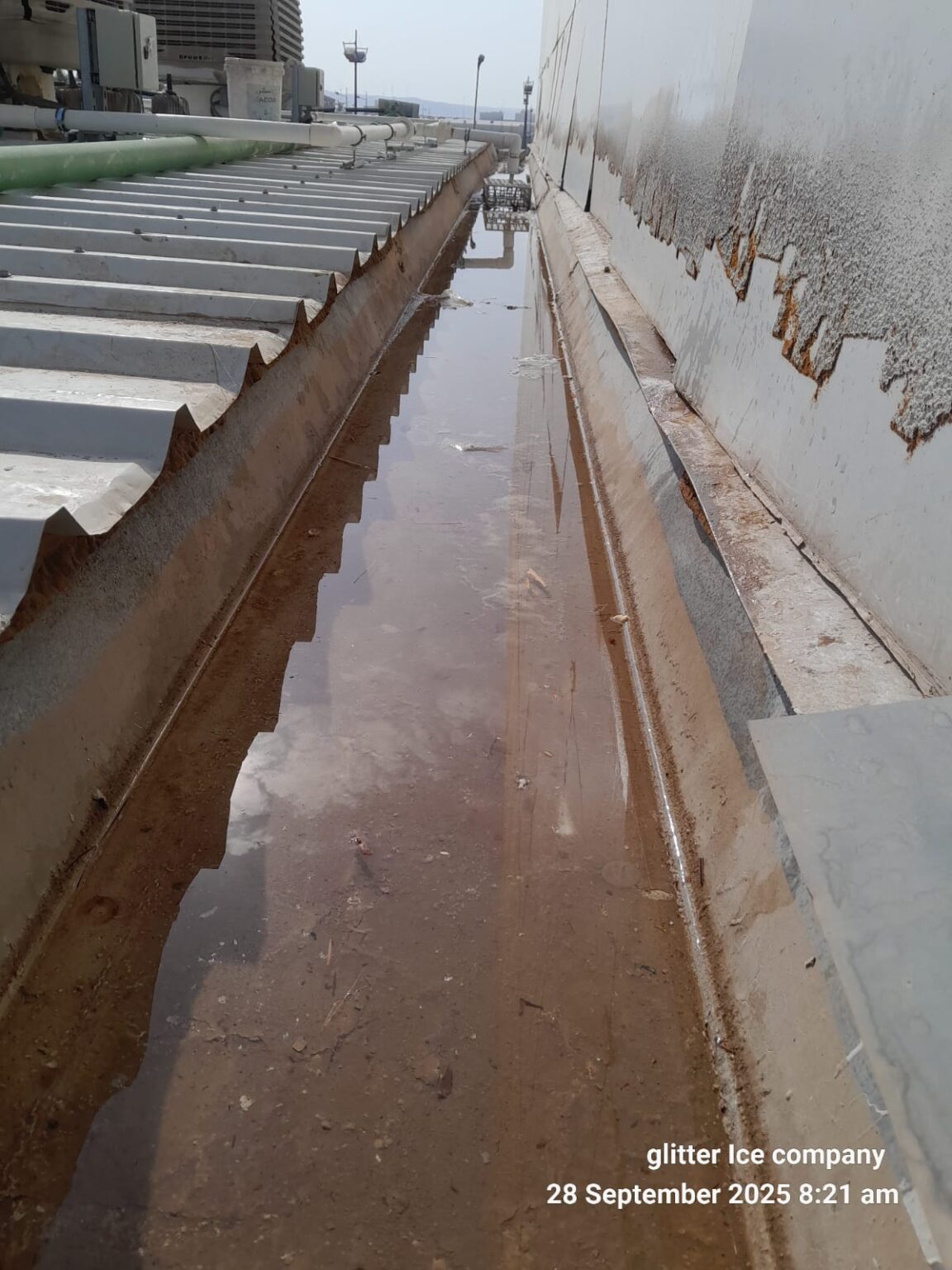 Gutter Cleaning Before 3