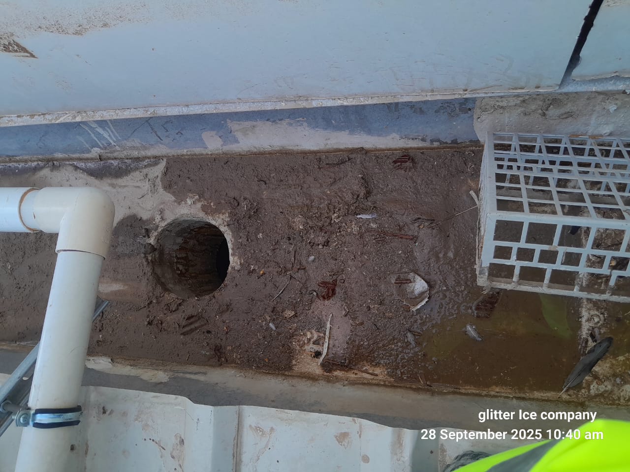 Gutter Cleaning Before 4